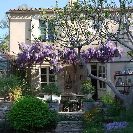 Sous Les Canniers * Saumane-de-Vaucluse